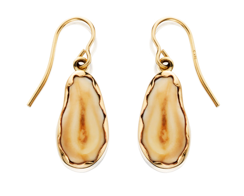 EIE108; CUSTOM 14K Yellow Gold Elk Ivory Earrings Bezel Set w/French Wires